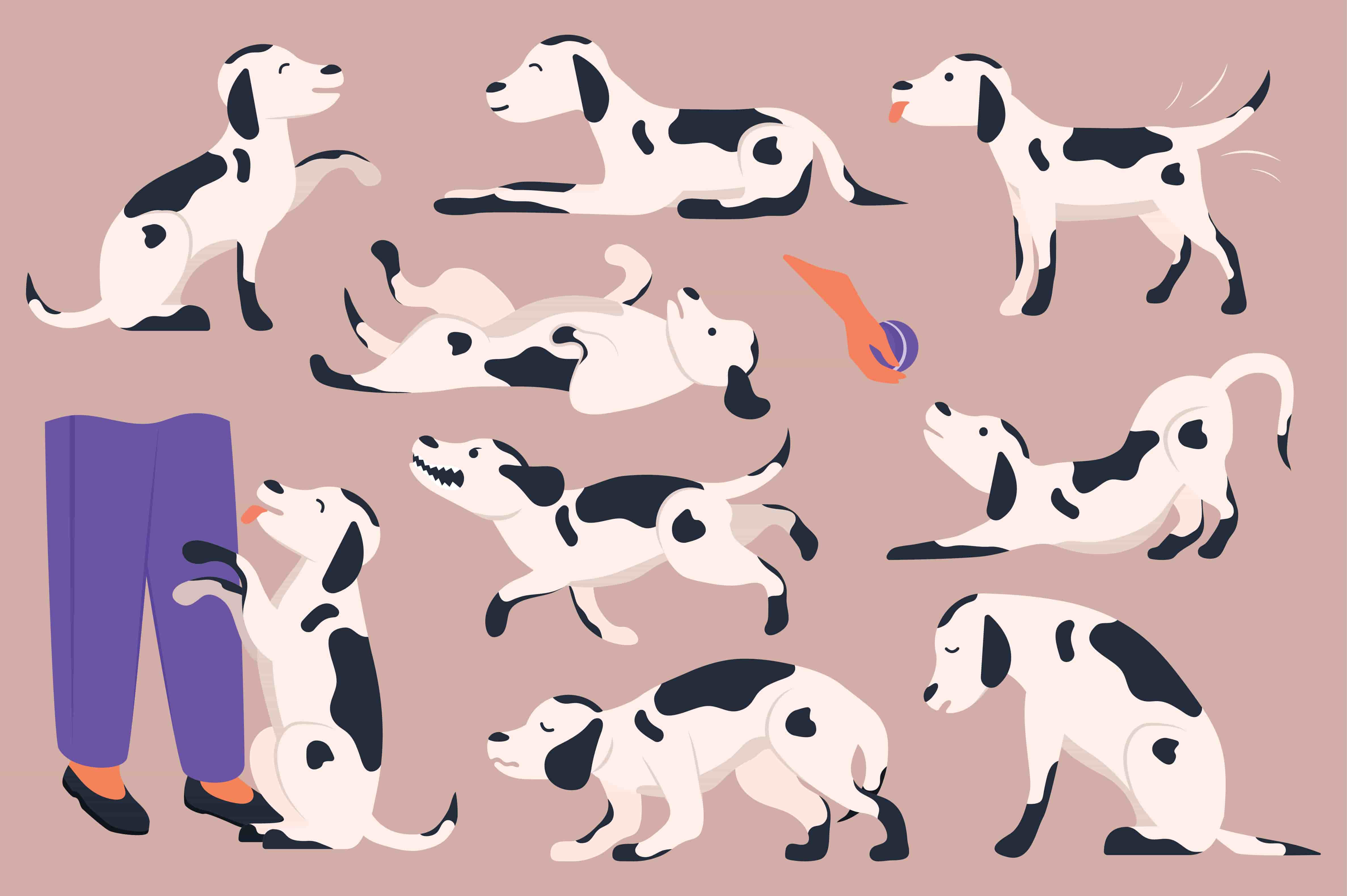 Comprendre le langage corporel de votre chien