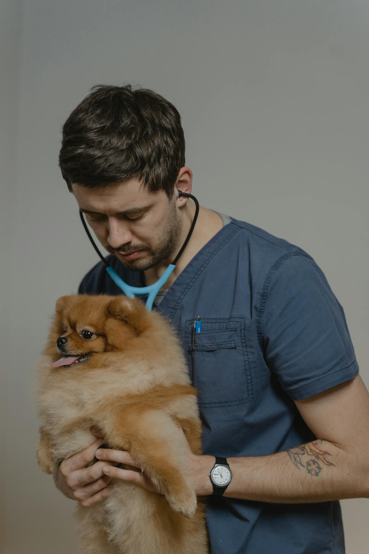 pexels-tima-miroshnichenko-6235662 (2)
